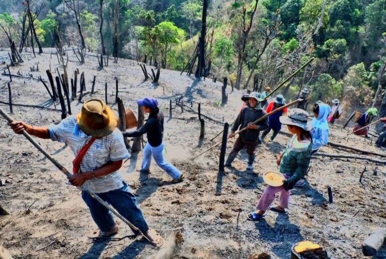 672147006_10235679503261954_6559221301620566429_n