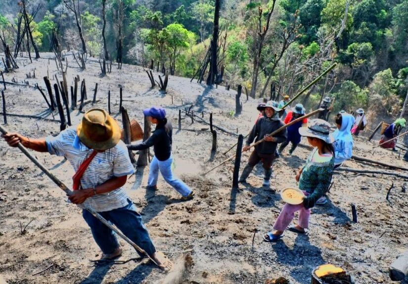 672147006_10235679503261954_6559221301620566429_n